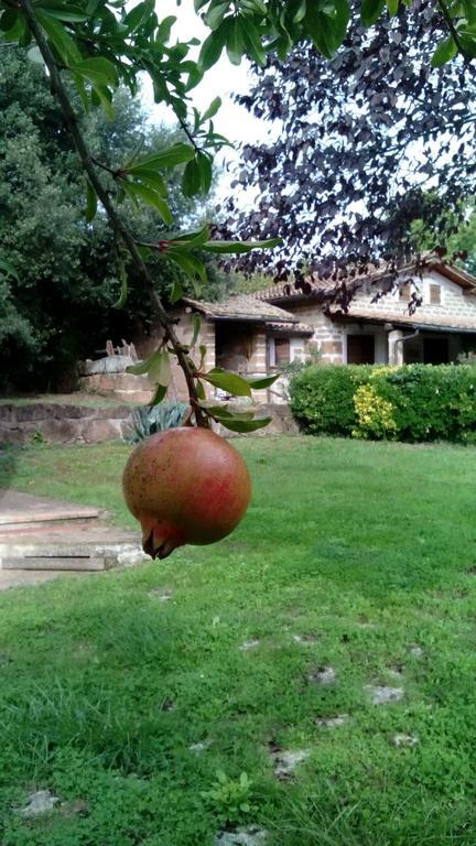 Corchiano Agriturismo Casale Loreto المظهر الخارجي الصورة
