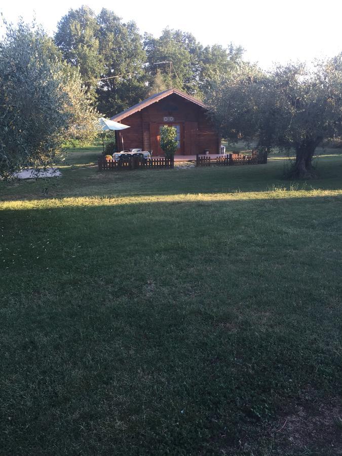 Corchiano Agriturismo Casale Loreto المظهر الخارجي الصورة