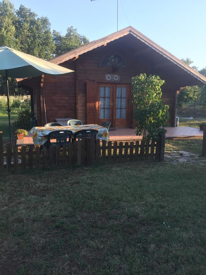 Corchiano Agriturismo Casale Loreto المظهر الخارجي الصورة